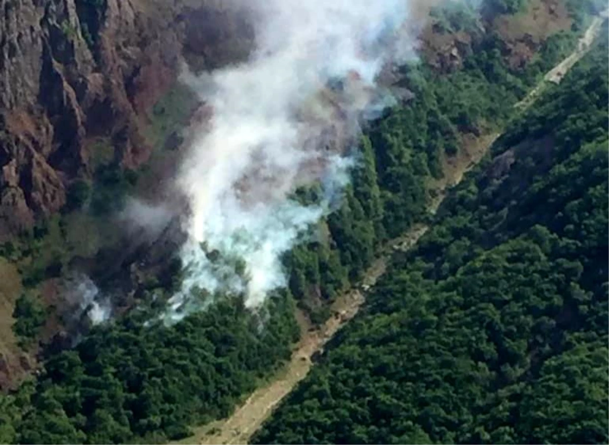 Tunceli\'de orman yangını, ekipler müdahale ediyor