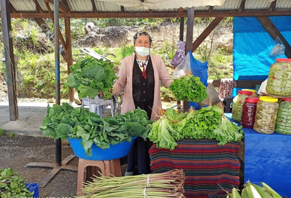 Son dakika haber... Yaylada yöresel organik pazar açıldı