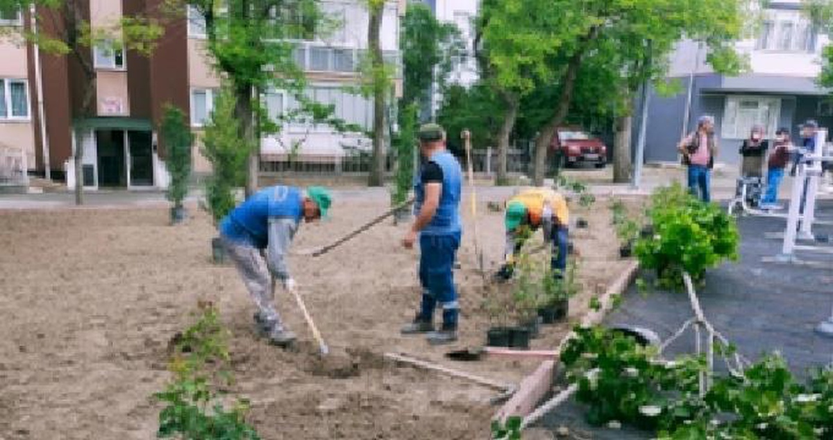 750 fidan toprakla buluştu!