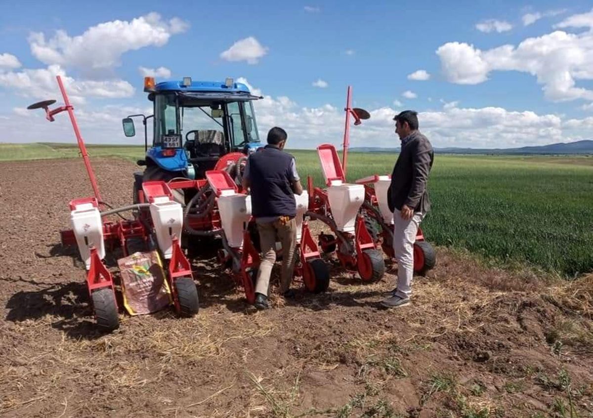 Aslanapa\'da alternatif ürün ekimi çalışmaları