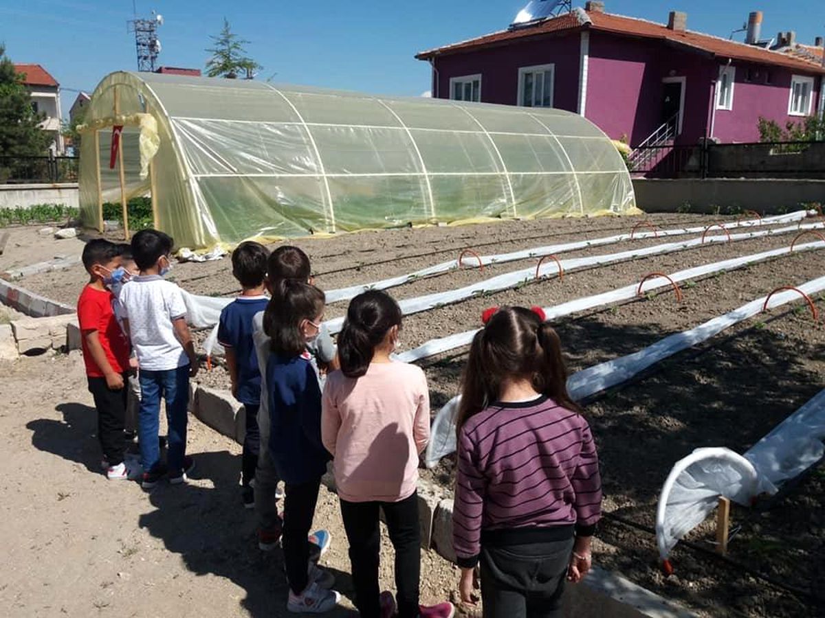 Bu da yerli tohum ilkokulu