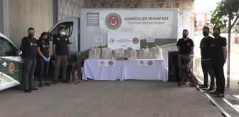 Gümrük muhafaza ekiplerinden Şırnak ve İstanbul'da uyuşturucu operasyonu