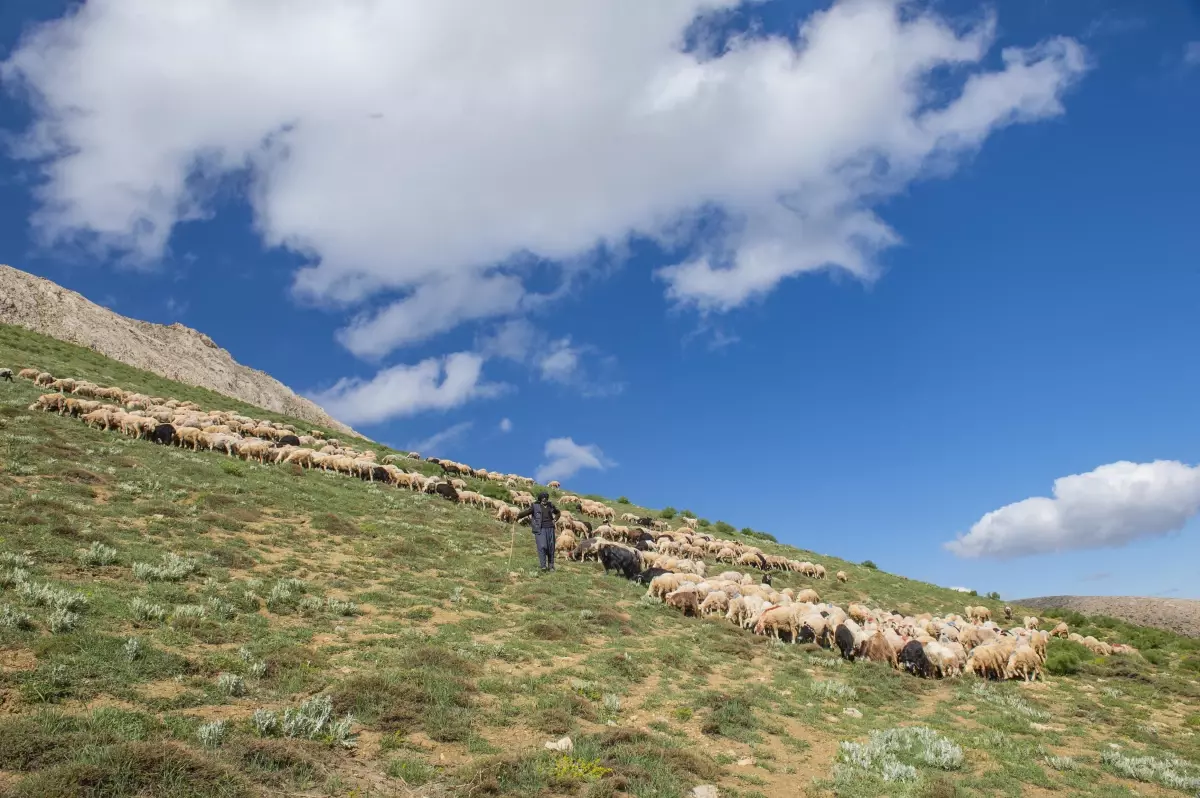 Huzura kavuşan Tunceli\'nin doğal güzellikleri göz kamaştırıyor