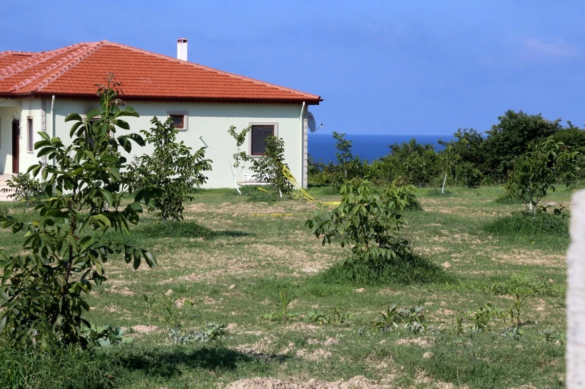 Son dakika: Kardeşini öldüren ağabeye müebbet hapis