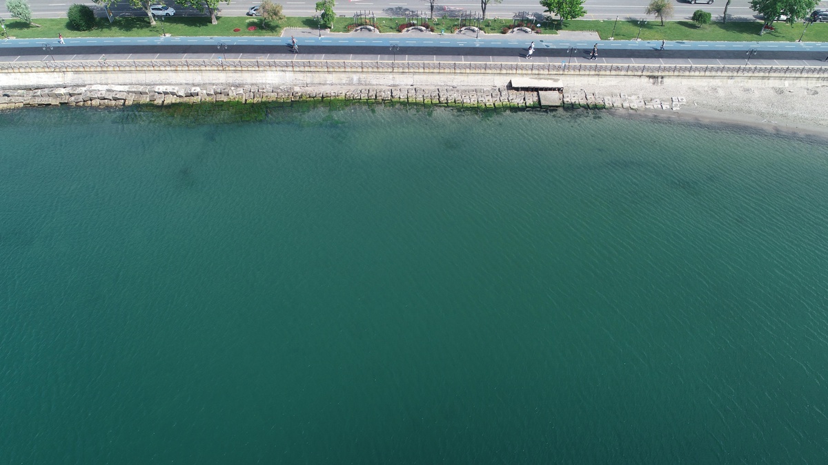 Tekirdağ\'da rüzgar müsilajı kıyıdan uzaklaştırdı