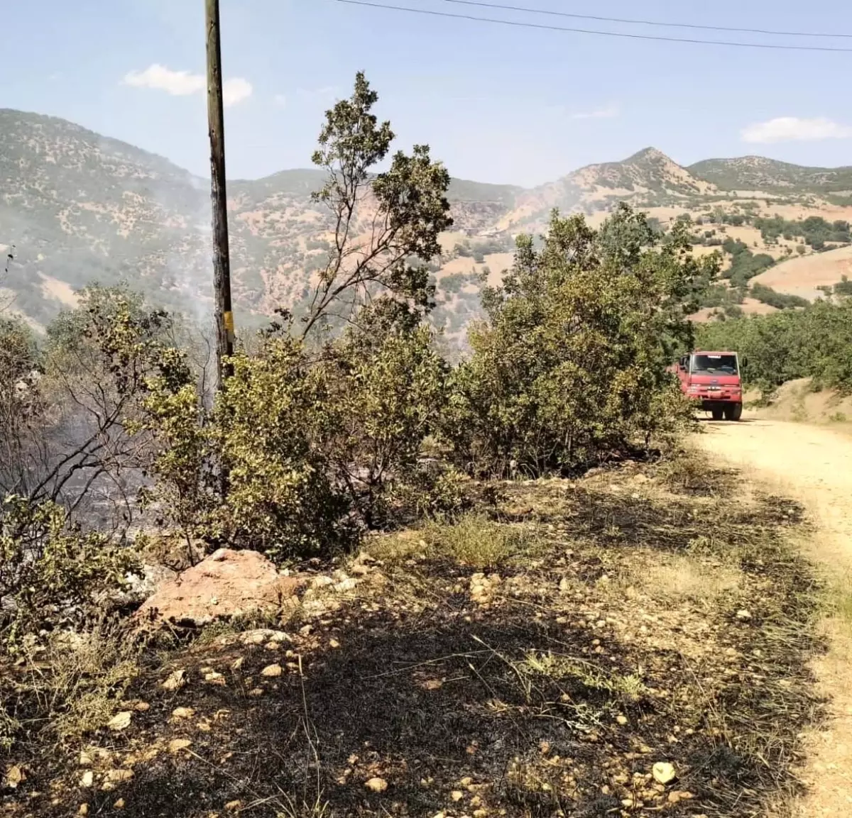 Tunceli\'de ormanlık alanlardaki yangınlar söndürüldü