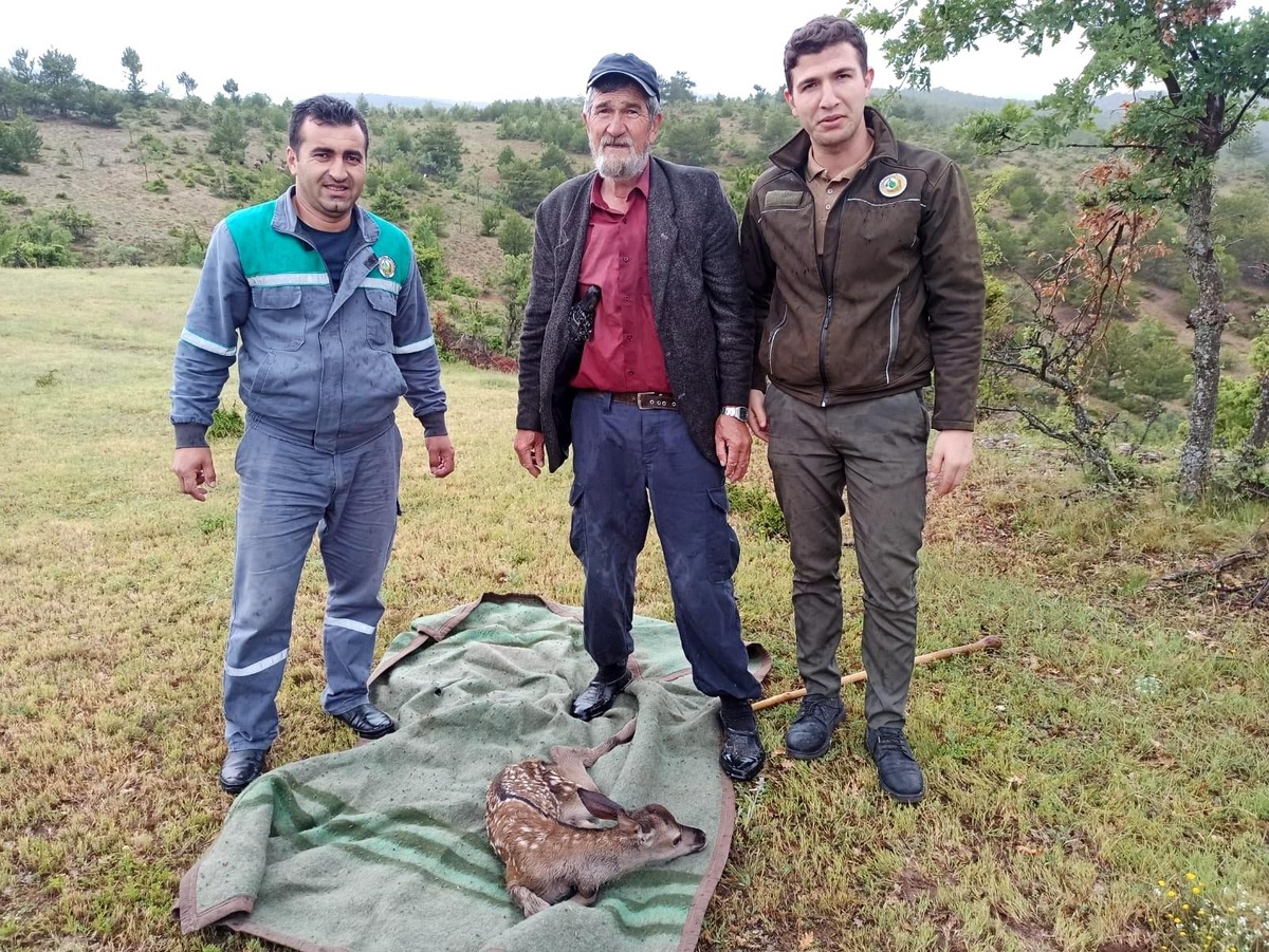 Yaralı bulduğu geyik yavrusunu sırtında 5 kilometre taşıdı