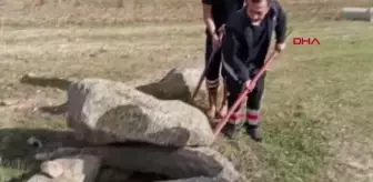 Son dakika haber! 15 metrelik kuyuya düşen tilkiyi itfaiye kurtardı