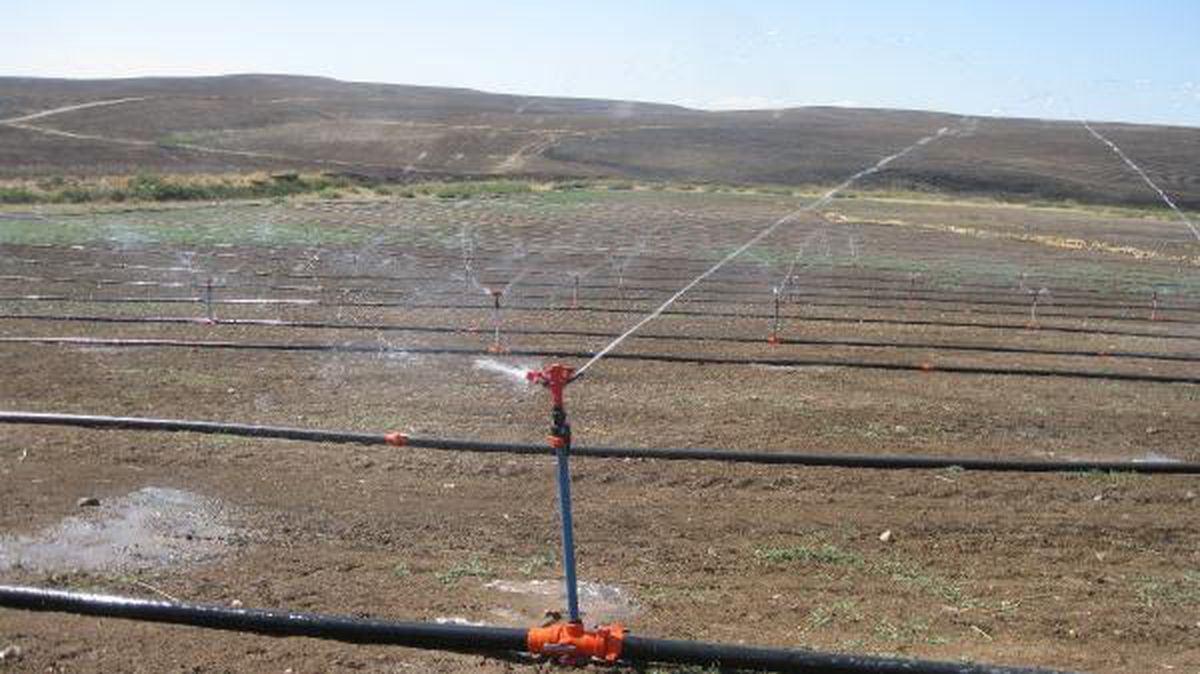 Diyarbakır çiftçisine 24 milyon lira hibe desteği