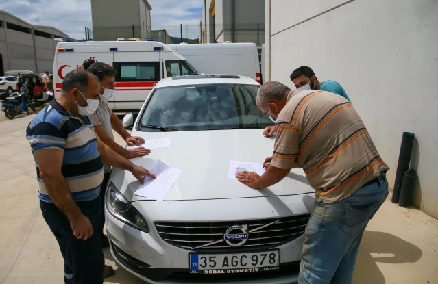 Ege'deki aşılama çalışmaları tüm hızıyla sürüyor