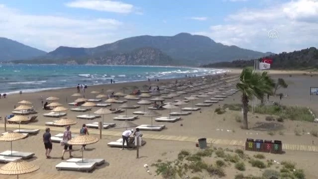 İztuzu Plajı'ndaki caretta caretta yuva sayısı 300'e ulaştı