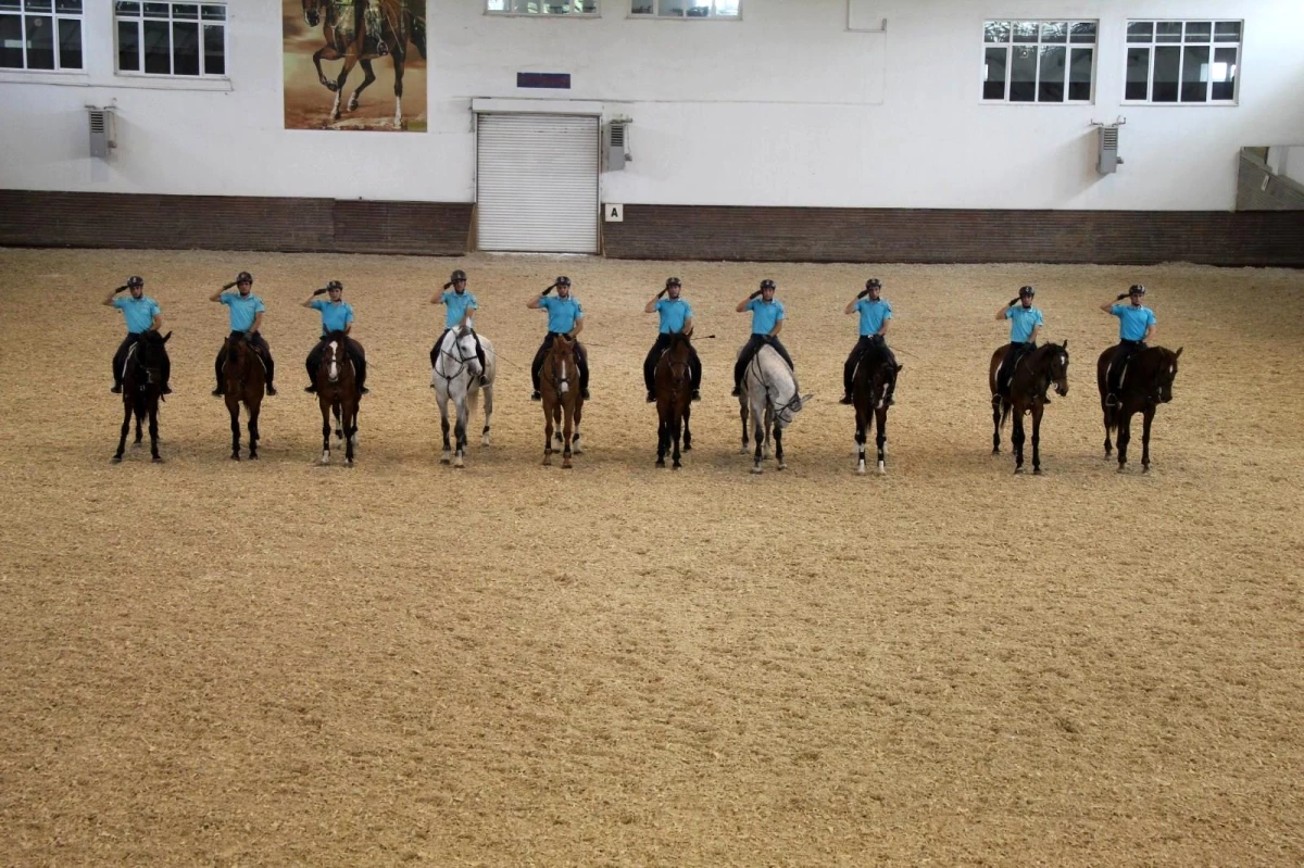 JAKEM\'de eğitilen atlar Türkiye\'nin çeşitli illerinde emniyet ve asayişi sağlıyor
