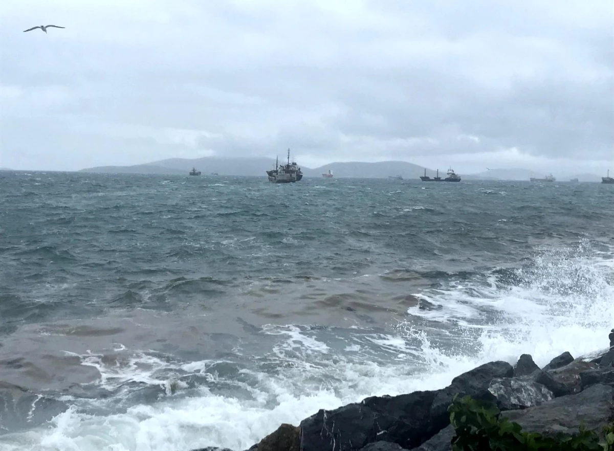 Kartal\'da kuvvetli rüzgar nedeniyle Panama bayraklı kargo gemisi sürüklendi