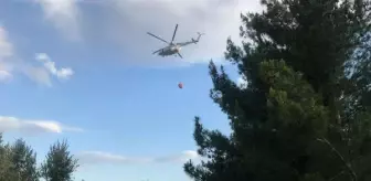 Son dakika haber! Osmaniye'de orman yangını büyümeden söndürüldü