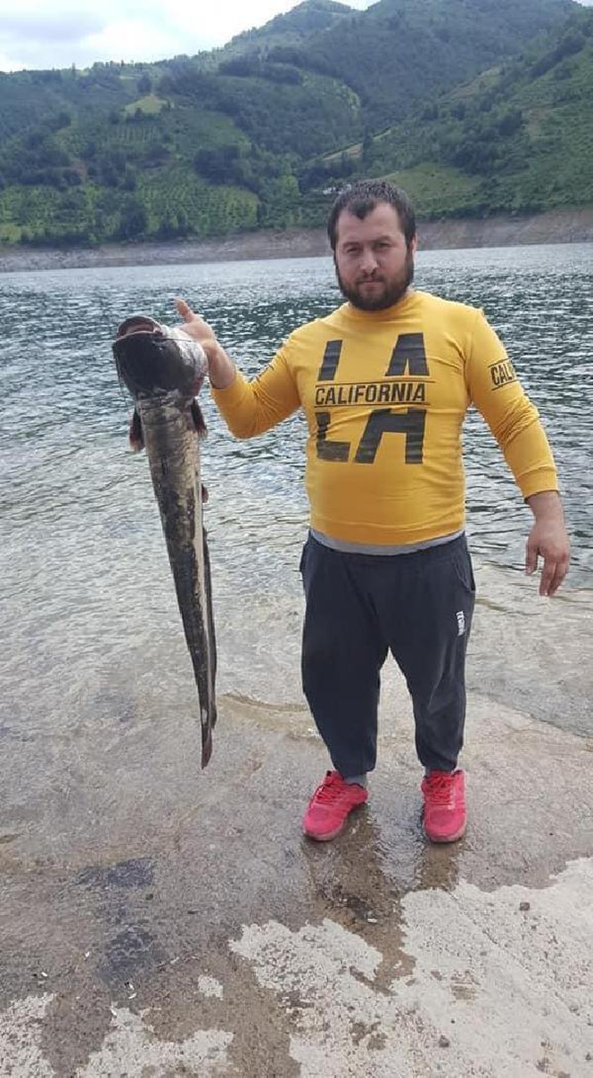 Son dakika haberleri | Otomobilin çarptığı bisikletli hayatını kaybetti (2)