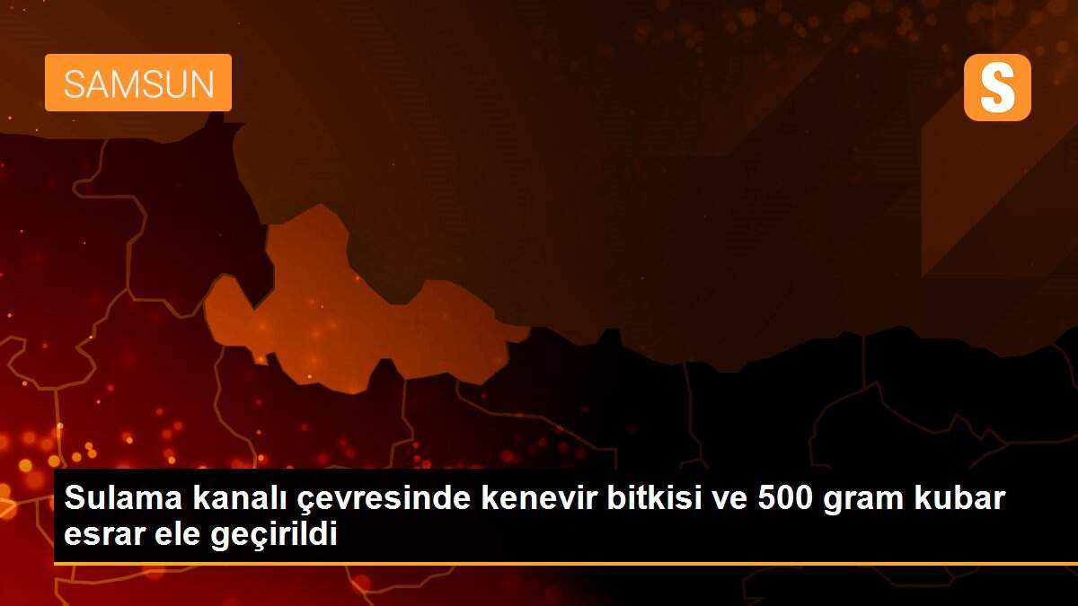 Sulama kanalı çevresinde kenevir bitkisi ve 500 gram kubar esrar ele geçirildi