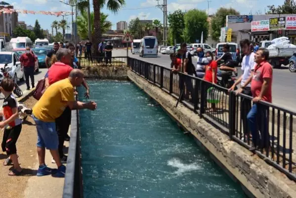 Sulama kanalında akıntıya kapılan 2 gençten 1'i kayboldu, System.String[]