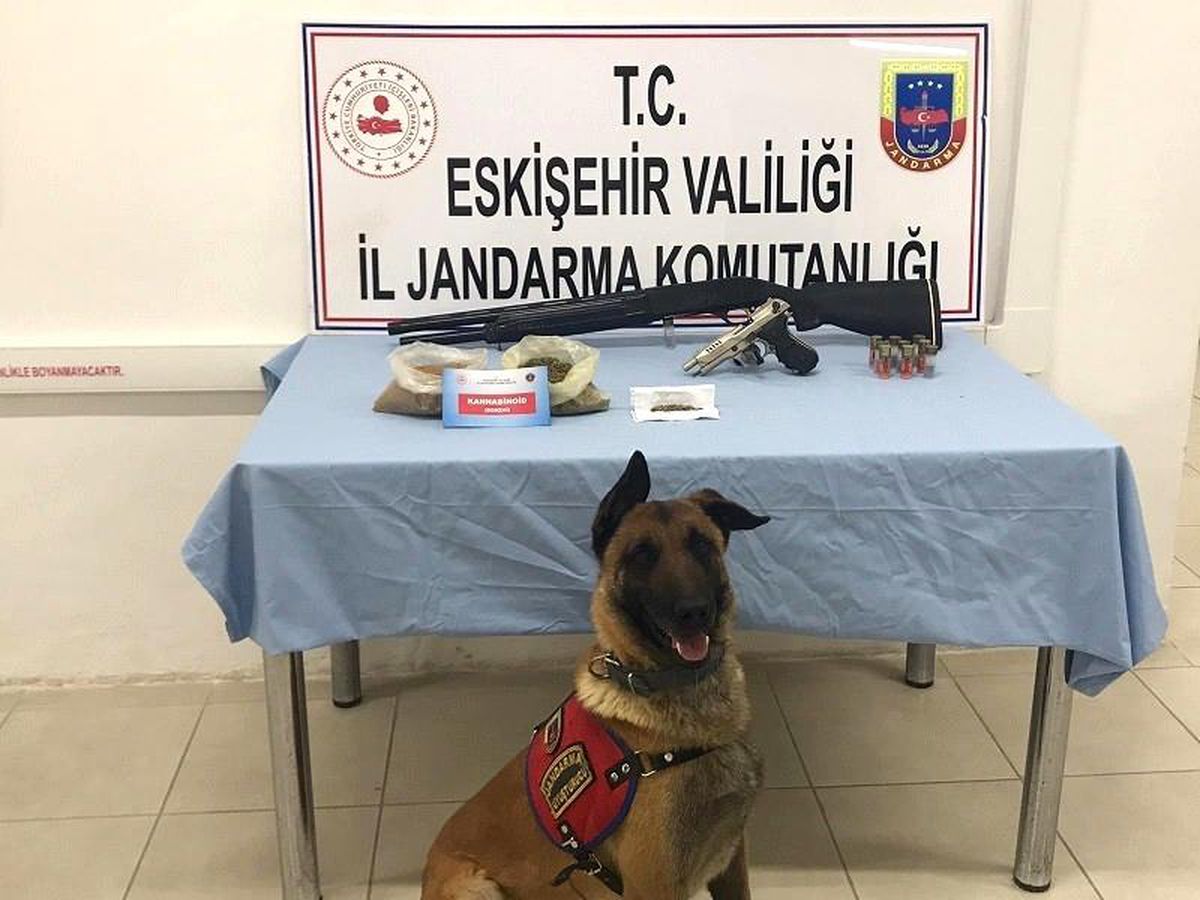 Tetik ve Alfa\'dan uyuşturucu kaçmıyor