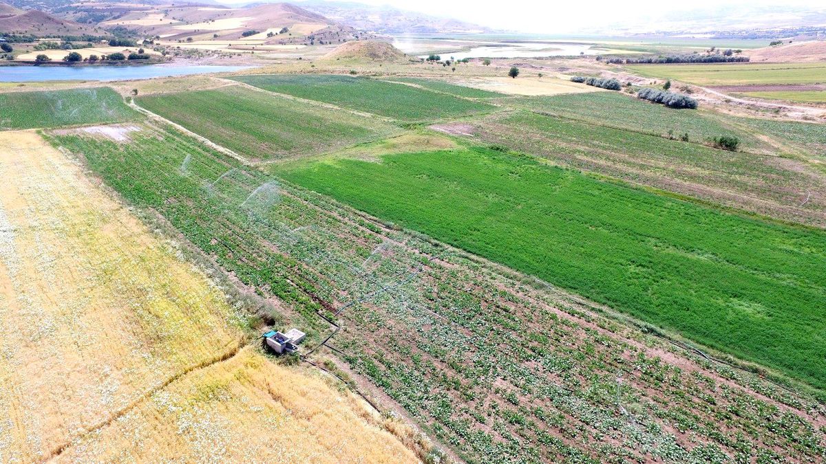 Sakarya\'da yapılacak sulu tarım, ekonomiye 409,5 milyon lira katkı sağlayacak