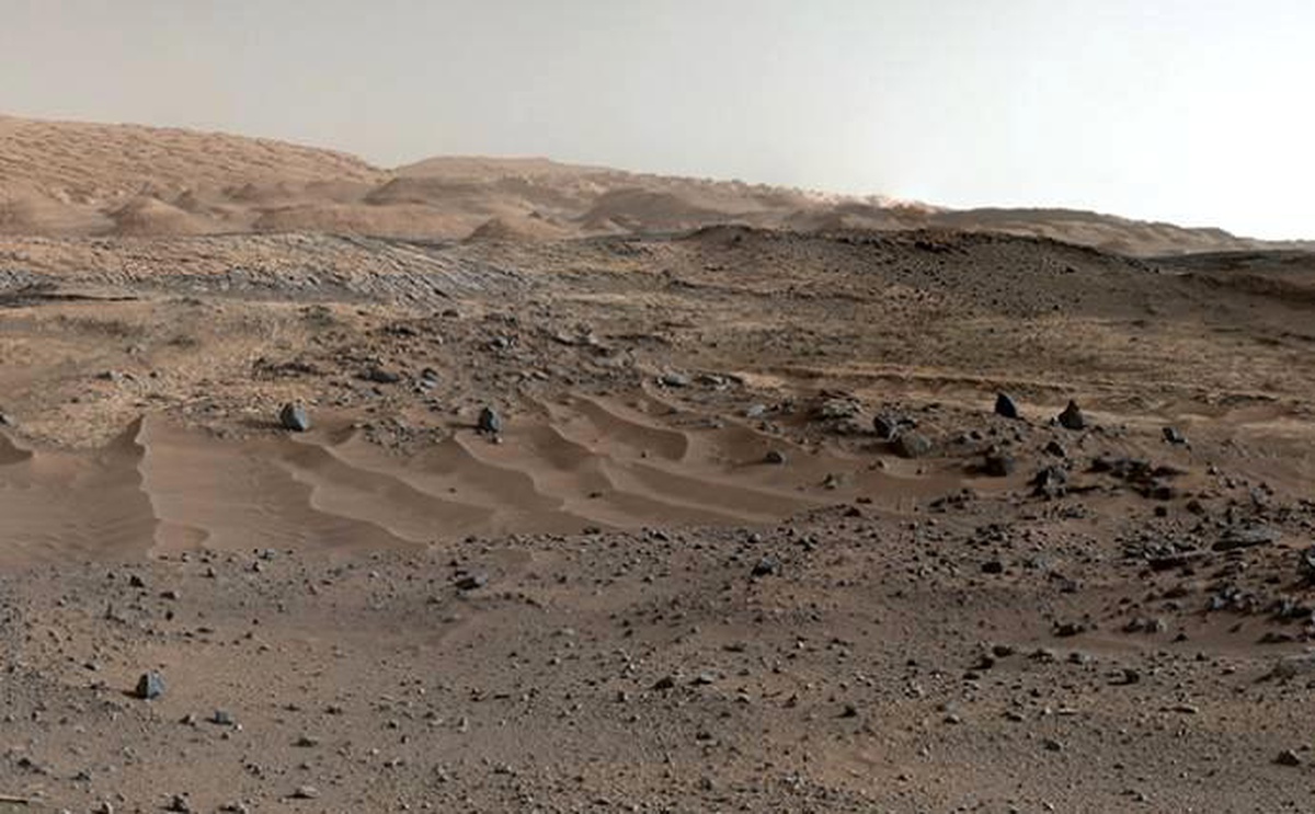Uzaya Fareleri Doğdu, İnsanlık Mars\'ta Üreyebilecek