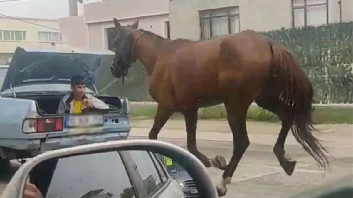 Boynuna ip bağladığı atı aracın arkasında kilometrelerce koşturdu! Gündem olan olaya tepki yağdı