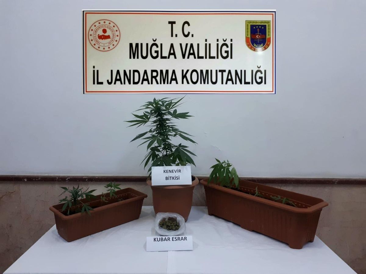 Son dakika haberleri | Bodrum\'da uyuşturucu operasyonu: 1 gözaltı