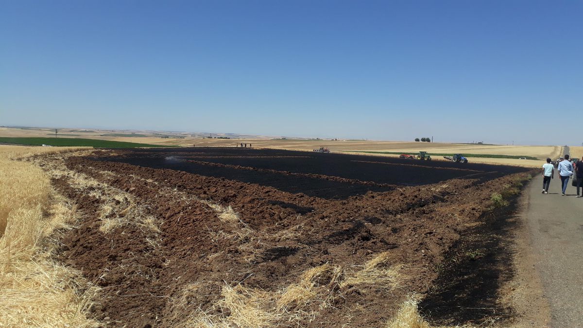 Son dakika: Diyarbakır\'da tarlada çıkan yangın söndürüldü