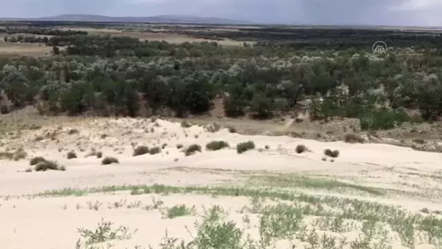 Dünyada ilk örnek: Yeşeren çöl Karapınar