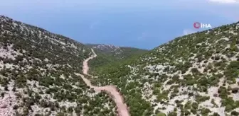 Kıl keçisi yetiştiricilerinin yol sevinci