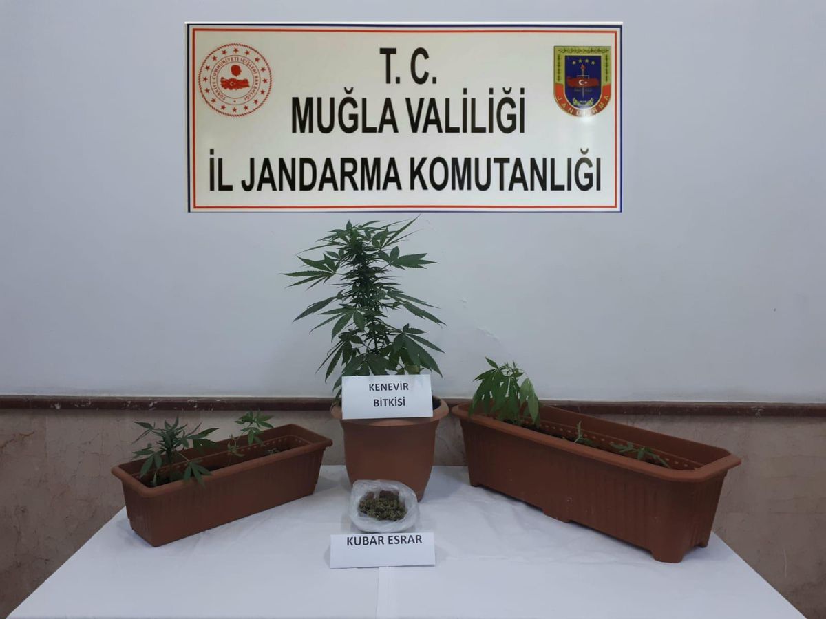 Muğla\'da uyuşturucu operasyonunda bir şüpheli yakalandı