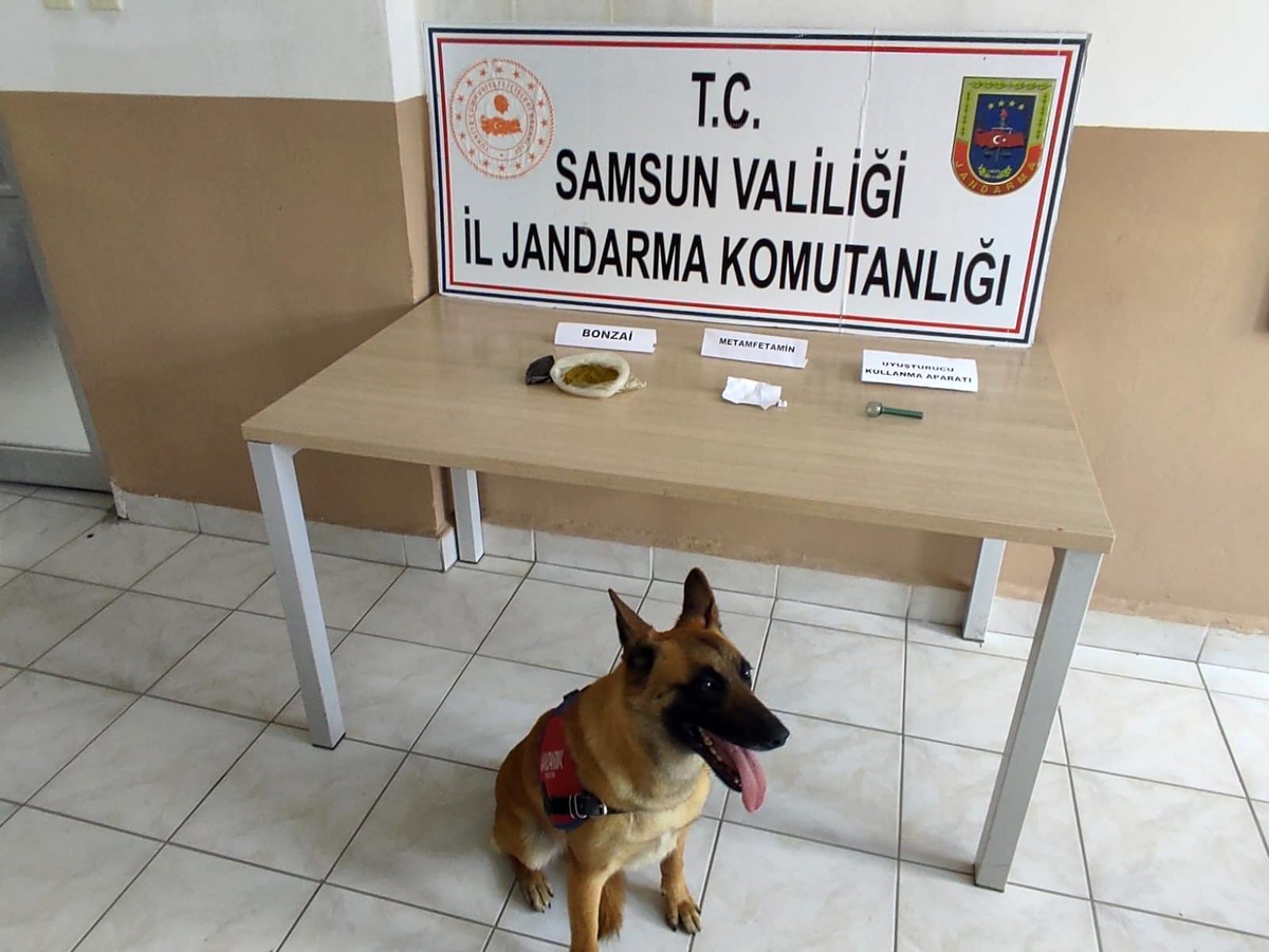 Samsun\'a uyuşturucu sevkiyatı jandarmaya takıldı