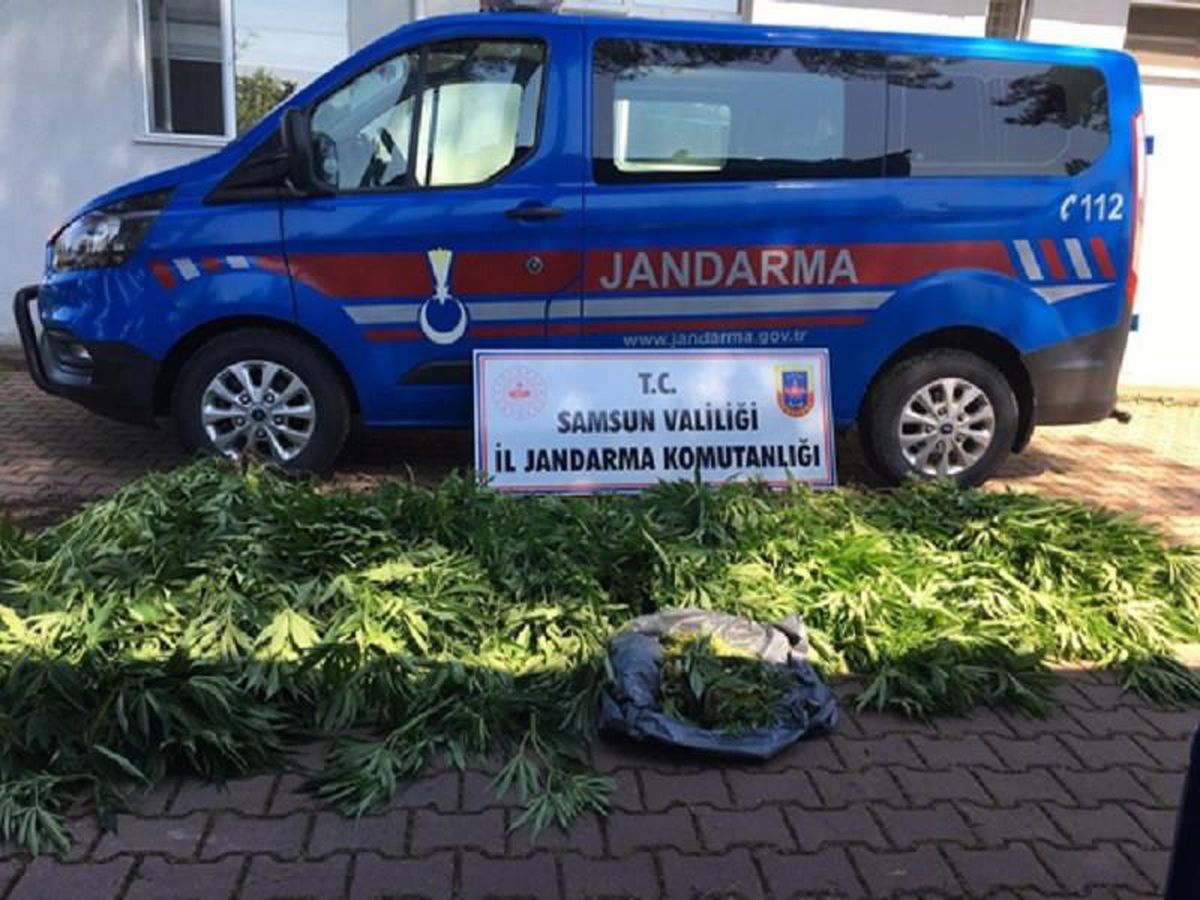 Samsun\'da uyuşturucu operasyonlarında 15 şüpheli yakalandı