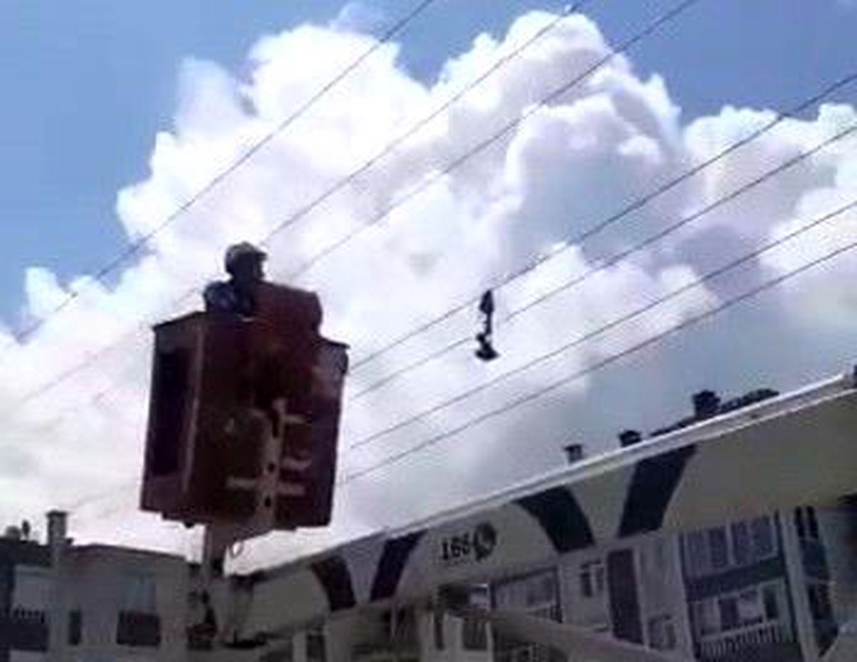 Son dakika... Yalova\'da karga kurtarma operasyonu