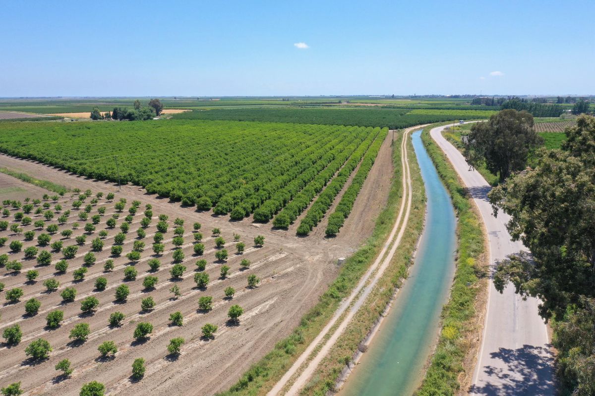 Adana\'da, 2 milyon 94 bin 597 dekar tarım arazisine su ulaştırılacak