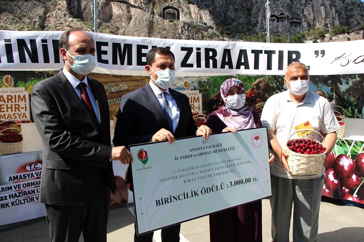 Amasya\'da kirazlar yarıştı: Birinciye 3 bin TL ödül