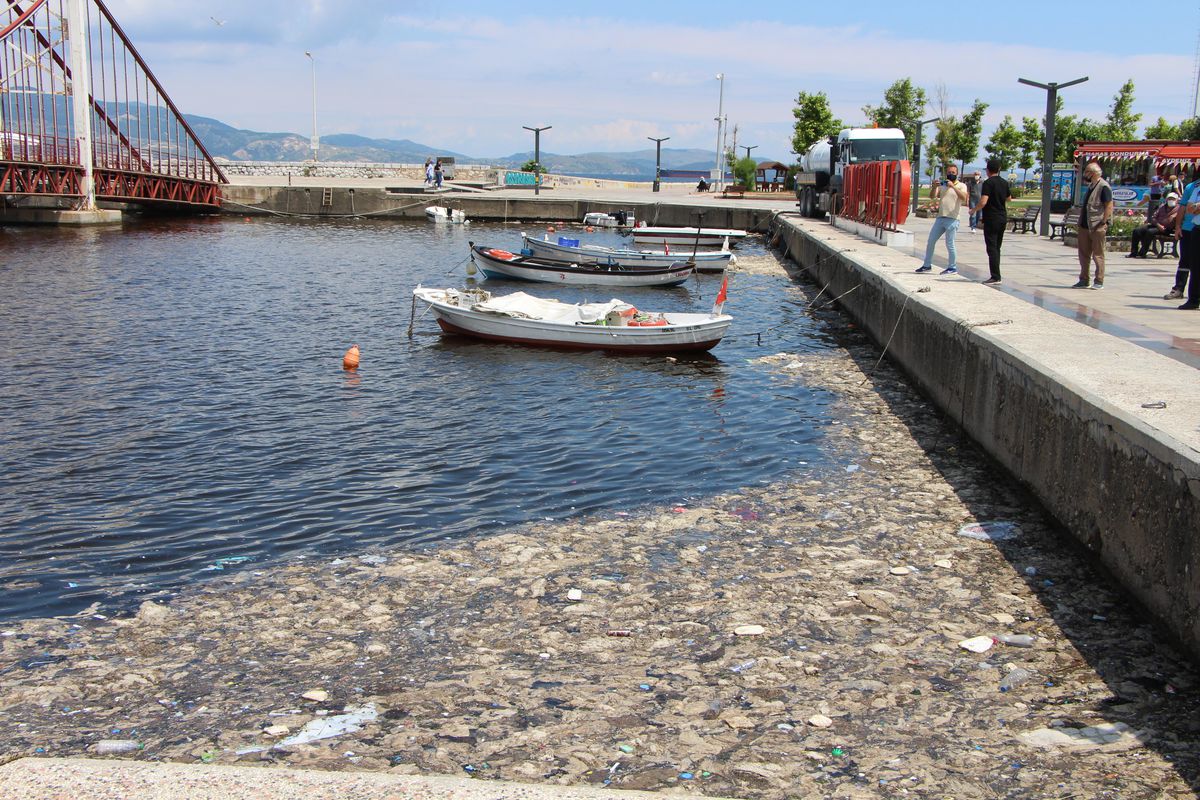 Balıkesir\'de müsilaj temizliği devam ediyor