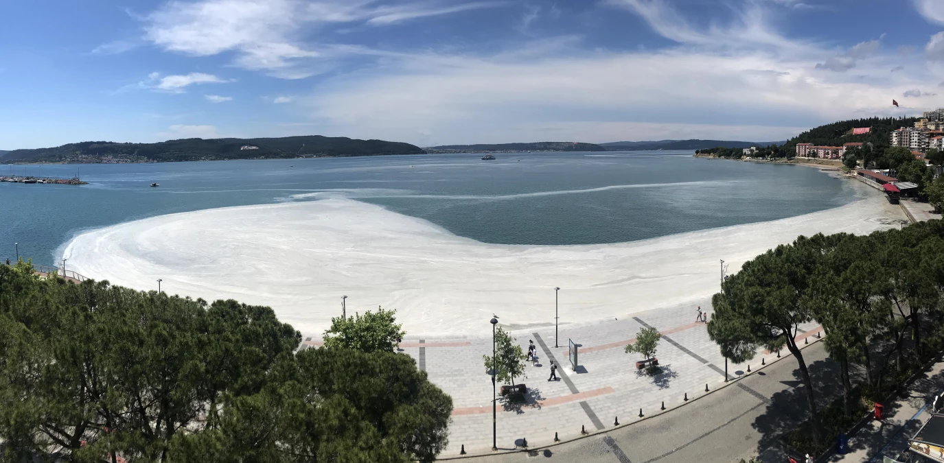 Çanakkale\'de Kordon Boyu\'nda müsilaj yoğunluğu oluştu