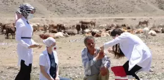 Dağları taşları aşıp, çobanların korona aşılarını yaptılar (2)- Yeniden