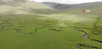 Menderesleriyle ünlü Perşembe Yaylası ziyaretçilerini ağırlıyor