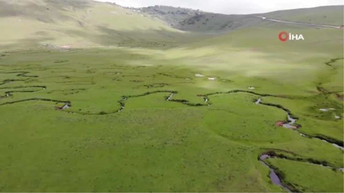 Menderesleriyle ünlü Perşembe Yaylası ziyaretçilerini ağırlıyor