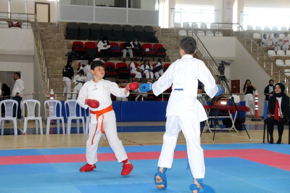 Sivas\'ta \'Karate İl Birinciliği\' müsabakaları yapıldı