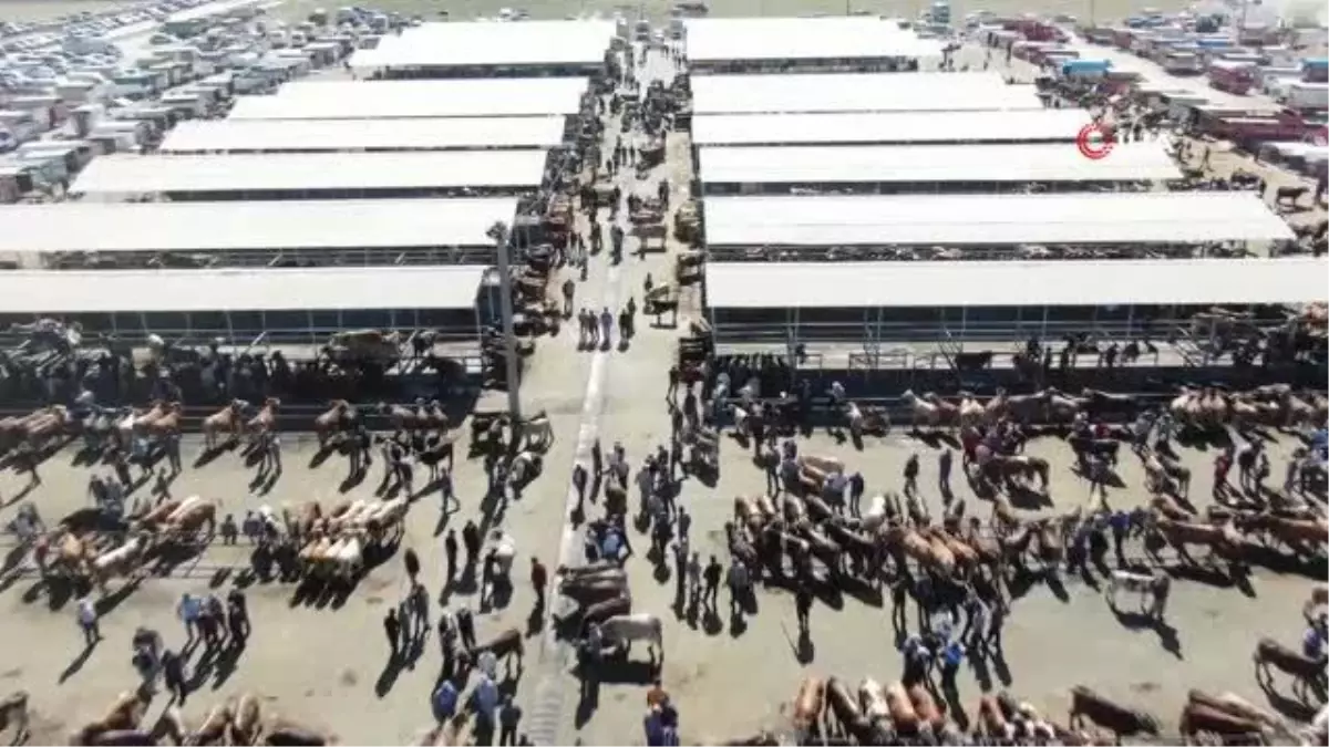 İç Anadolu\'nun en büyük hayvan pazarında bayram yoğunluğu