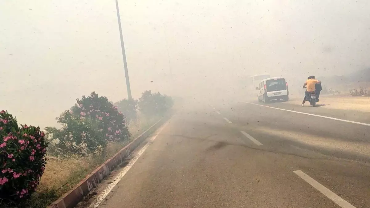 Son dakika haberi! İslahiye\'de anız yangını trafiği durdurdu