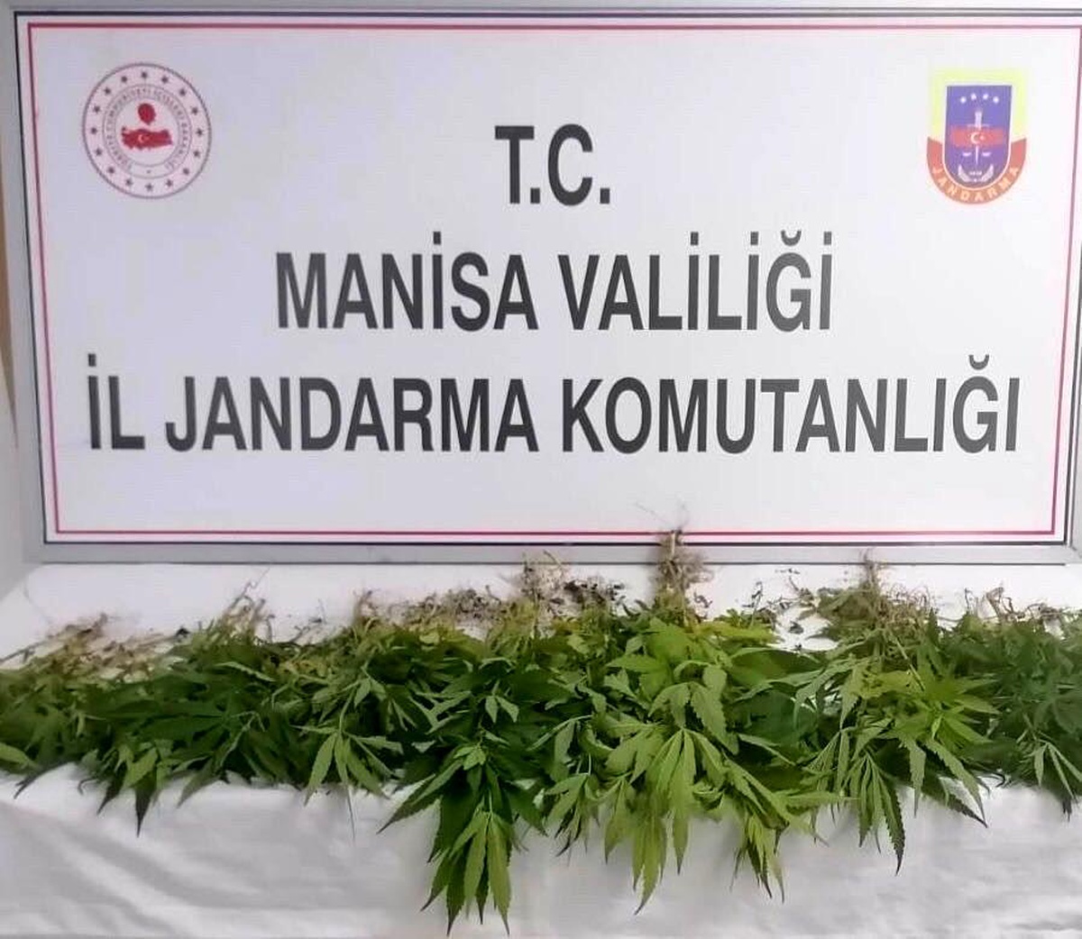 Son dakika haber | Jandarmadan uyuşturucu tacirlerine operasyon