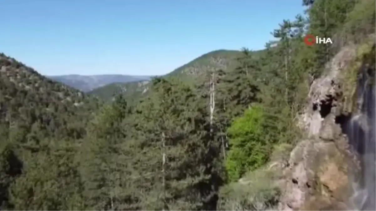 Son dakika haber: Nallıhan Uyuzsuyu Şelalesi\'nde görsel şölen