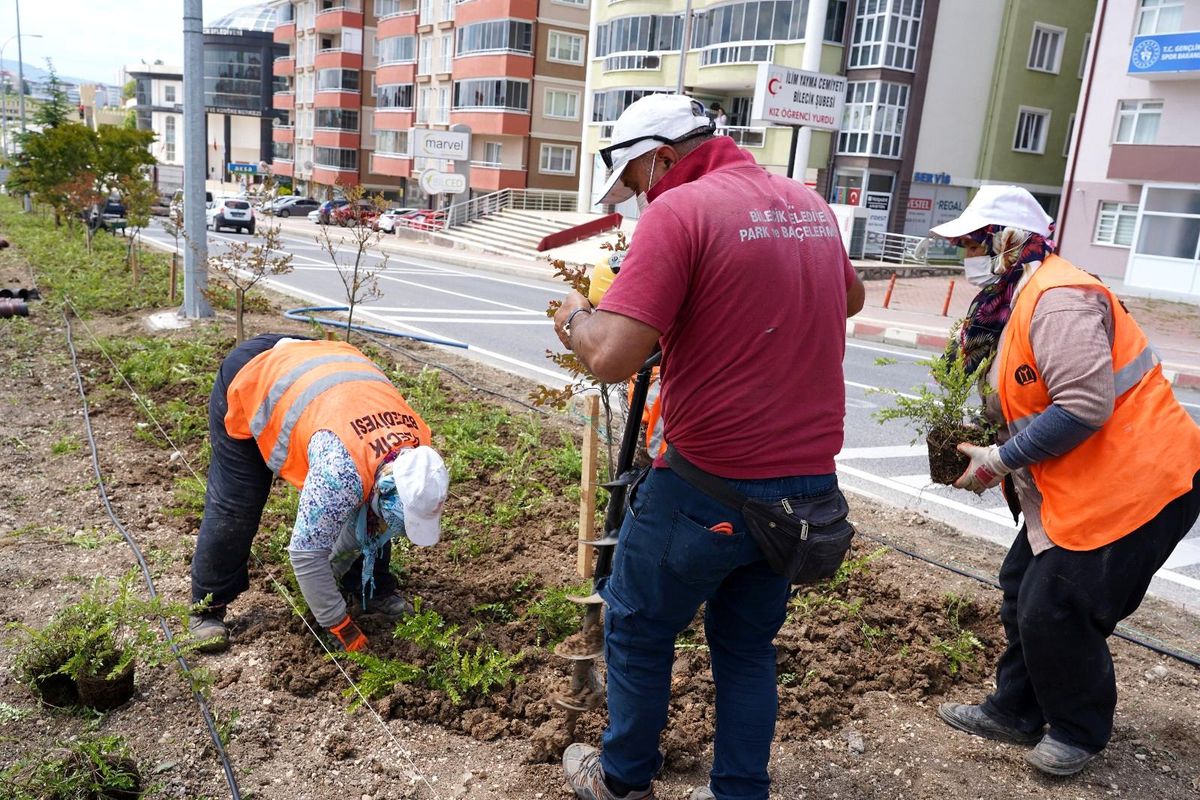 Orta refüjlerde bitki ve ağaçlandırma çalışması