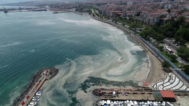 Kıyılarında müsilaj yoğunluğu arttı