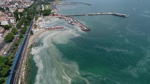 Kıyılarında müsilaj yoğunluğu arttı