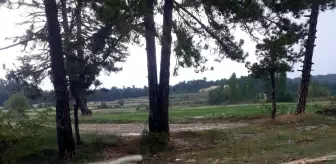 Son dakika haber! Çameli'de sağanak yağış sele dönüştü