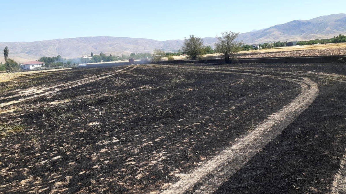 Son dakika haberi! Elazığ\'da yangın,arpa ekili arazi kül oldu